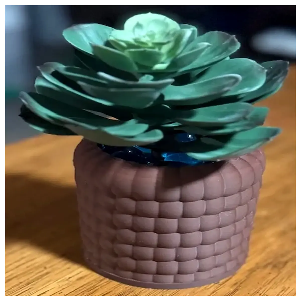 bubble planter pot for succulents air cushion vase modern minimalist home decor small plant container