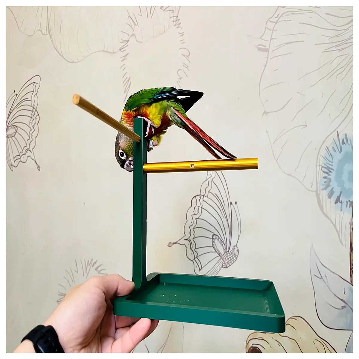 Parrot Stand Pole Bird Toys Cage Support Perch Accessories Climbing Stand for Parrots Bird Cage Accessories