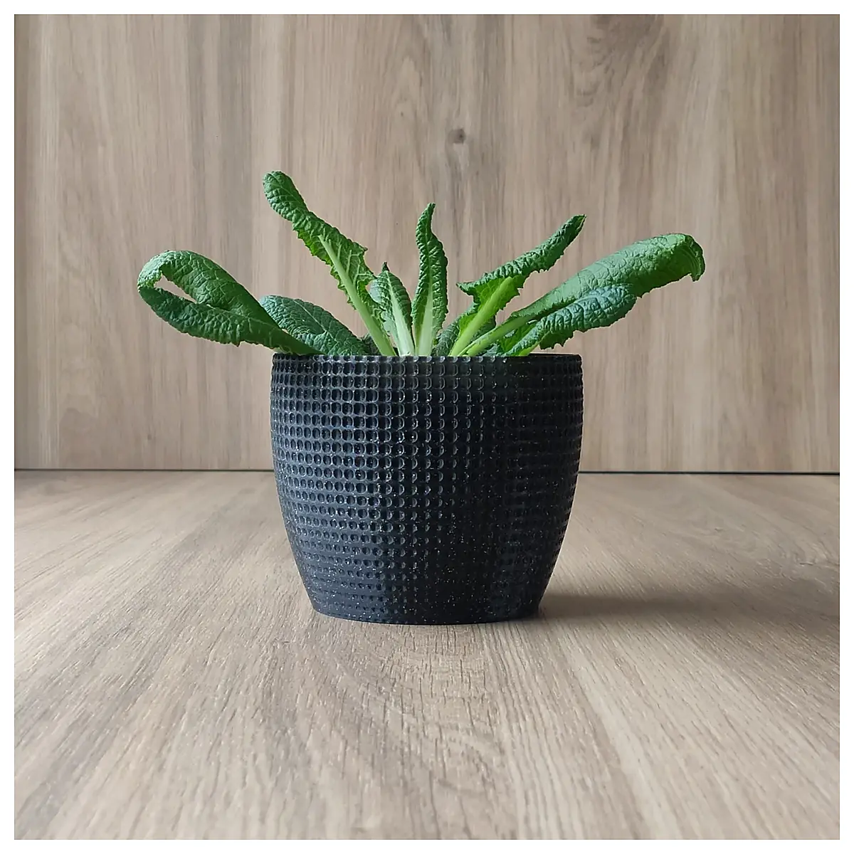 ceramic plant pots with drainage holes for succulents indoor decorative flower pots for home garden decor