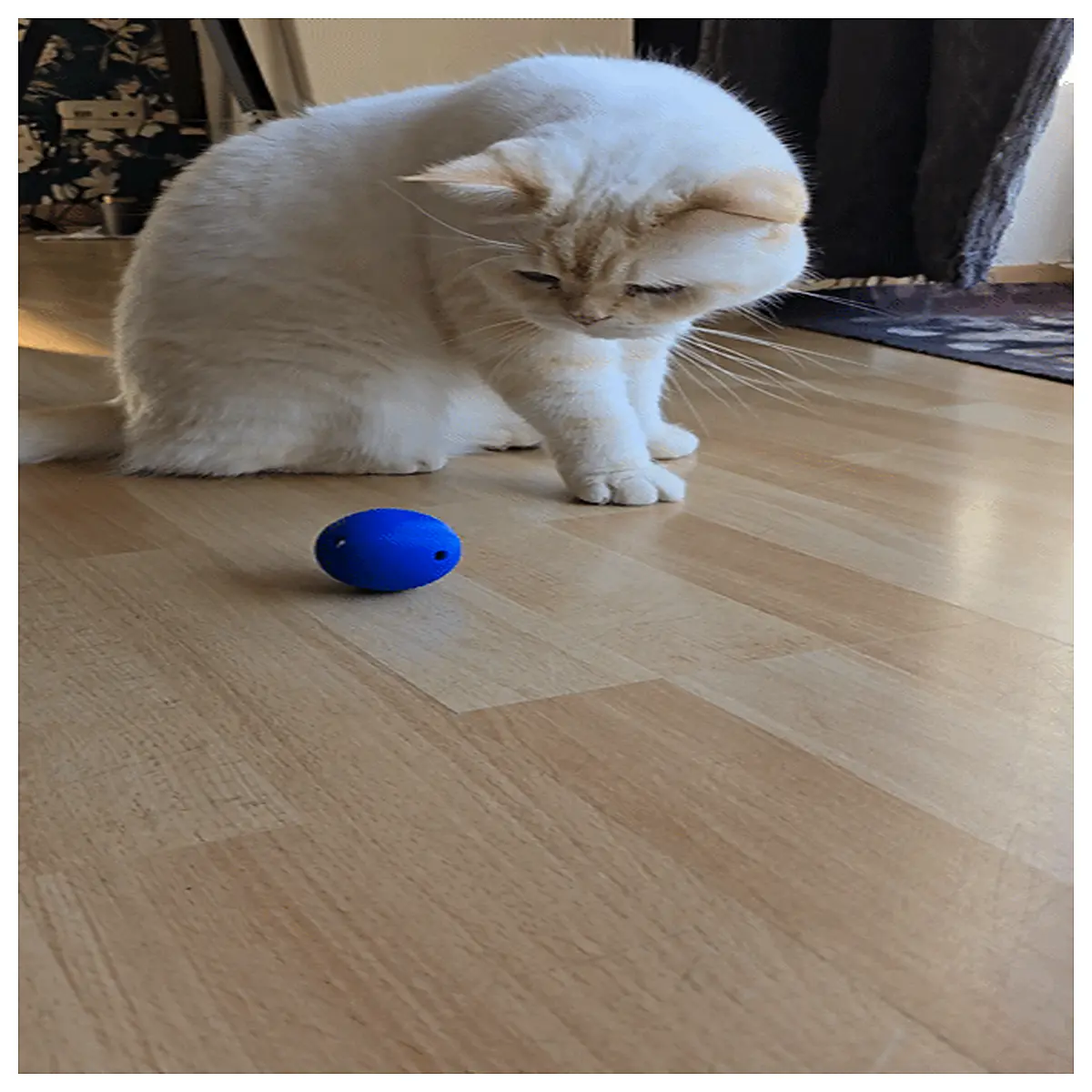 Cat Toy Ball with Internal Ball Printed Interactive Puzzle Cat Toy Fetching Ball for Cat Training Games