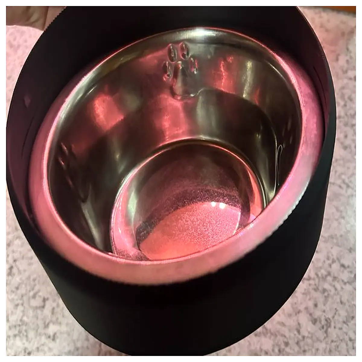 Explorer Pet Bowl Holder Car Dog Bowl Stand Vehicle Accessories Pet Supplies Explorer Parts Pet