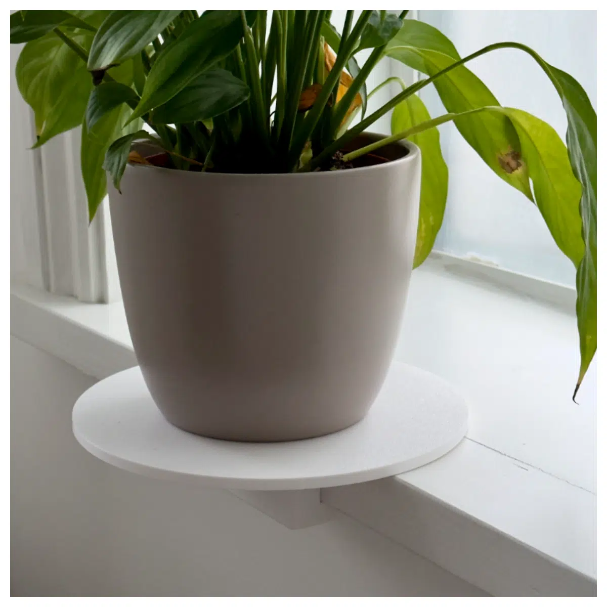 Window Sill Plant Holder Support Bracket Vertical Flower Stand for Potted Plants Hanging Decoration Indoor Shelf