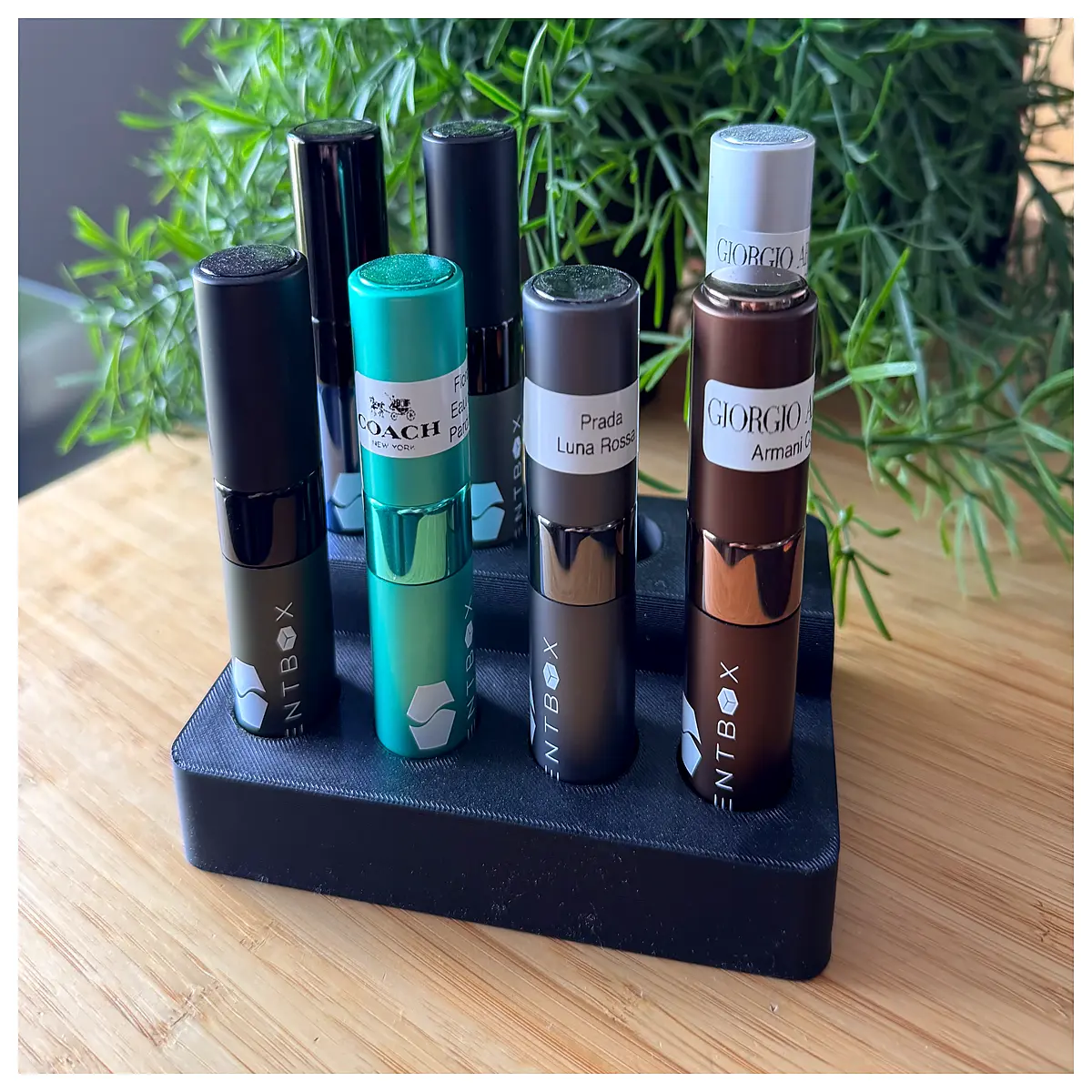 Perfume Bottle Holder Elegant Display Stand for Fragrance Decorative Bottle Holder Creative Perfume Accessory Bottle Stand
