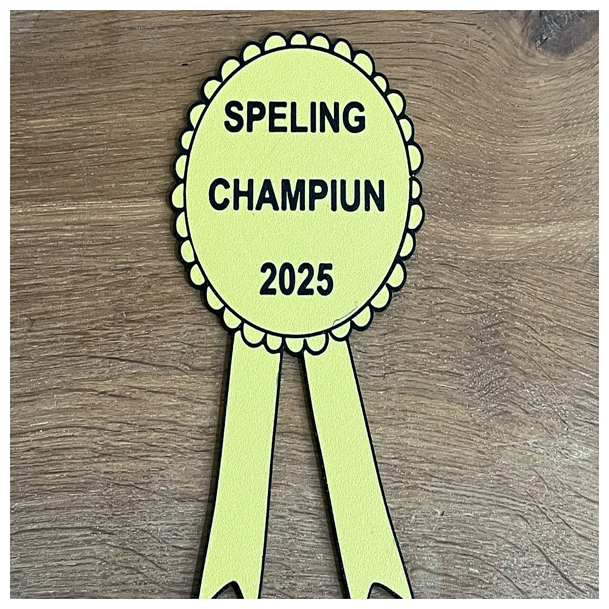 fun spelling bee trophy award for kids school competition winner prize