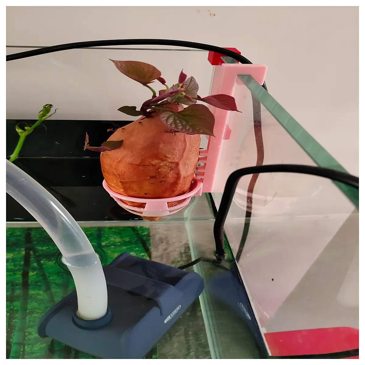 hydroponic sweet potato grow basket indoor air plant container soilless gardening decorative hanging planter for home office decor