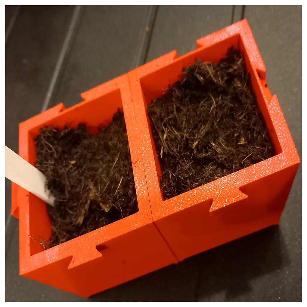 self watering seed starter pots with humidity dome for indoor gardening propagation