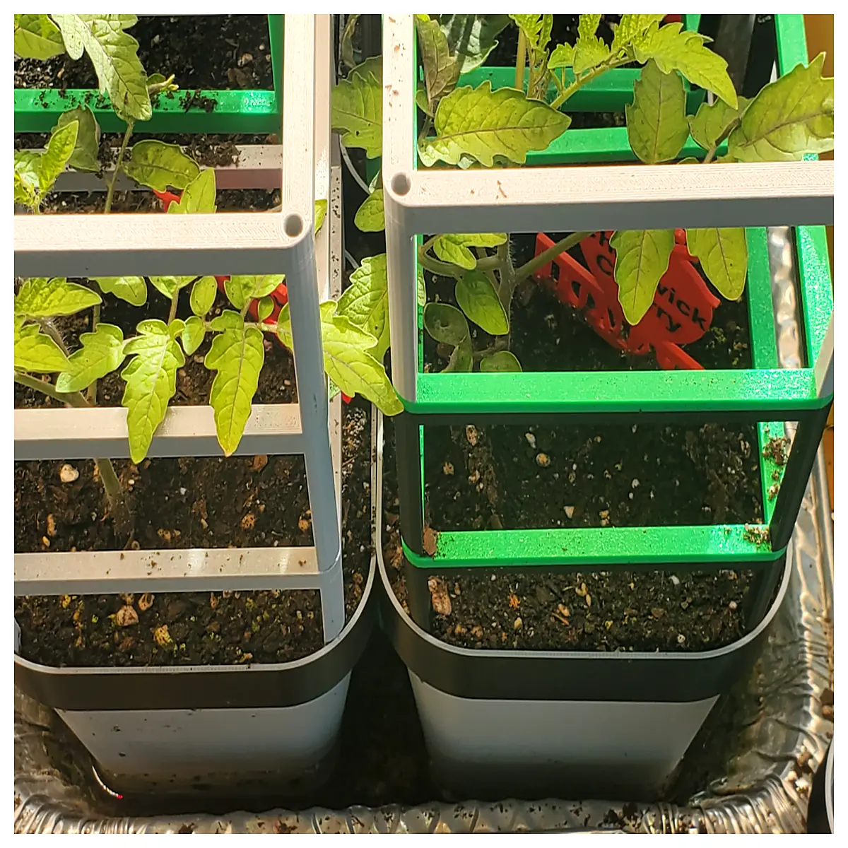 tomato plant support stakes vertical garden trellis system stackable for small space balcony