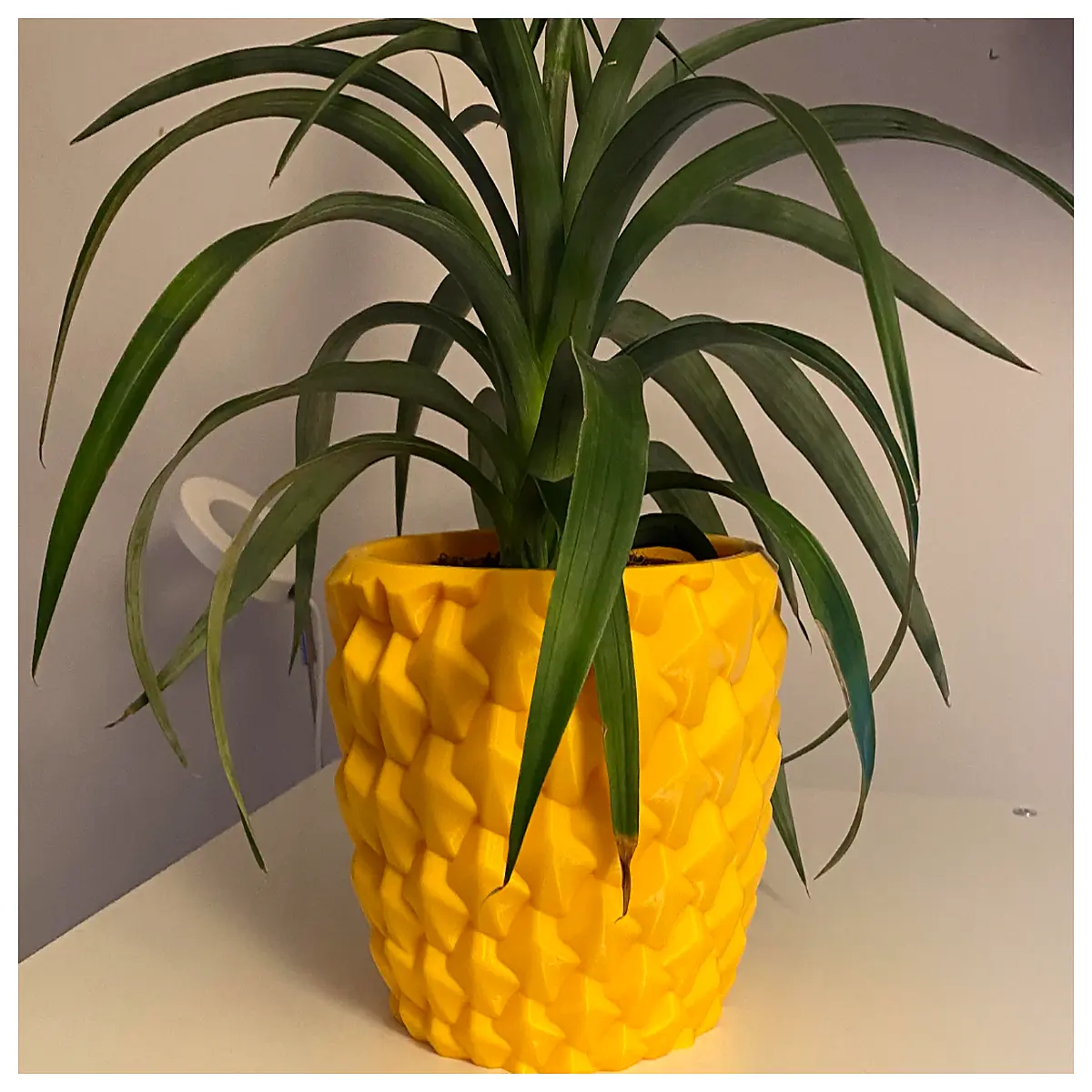 pineapple planter pot succulent decoration indoor desk planters