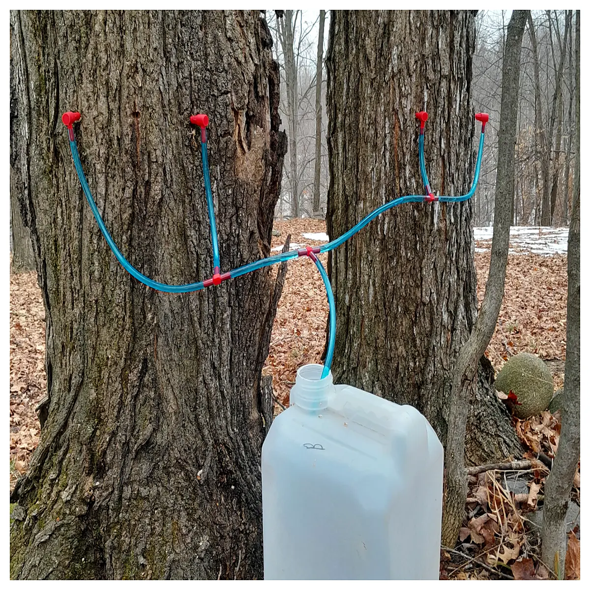 Maple Syrup Tap Faucet Accessories 3 Way Diverter Valve Kitchen Water Tap Fittings Maple Syrup Equipment