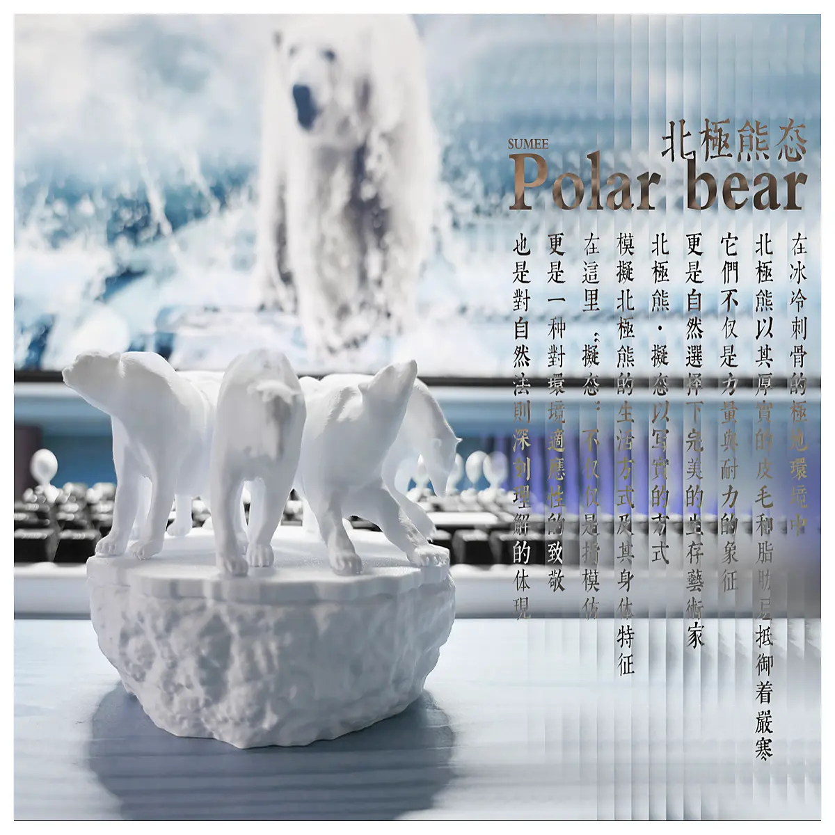 Polar Bear Pose Stickers Funny Cute Polar Bear Image Assets Download Share