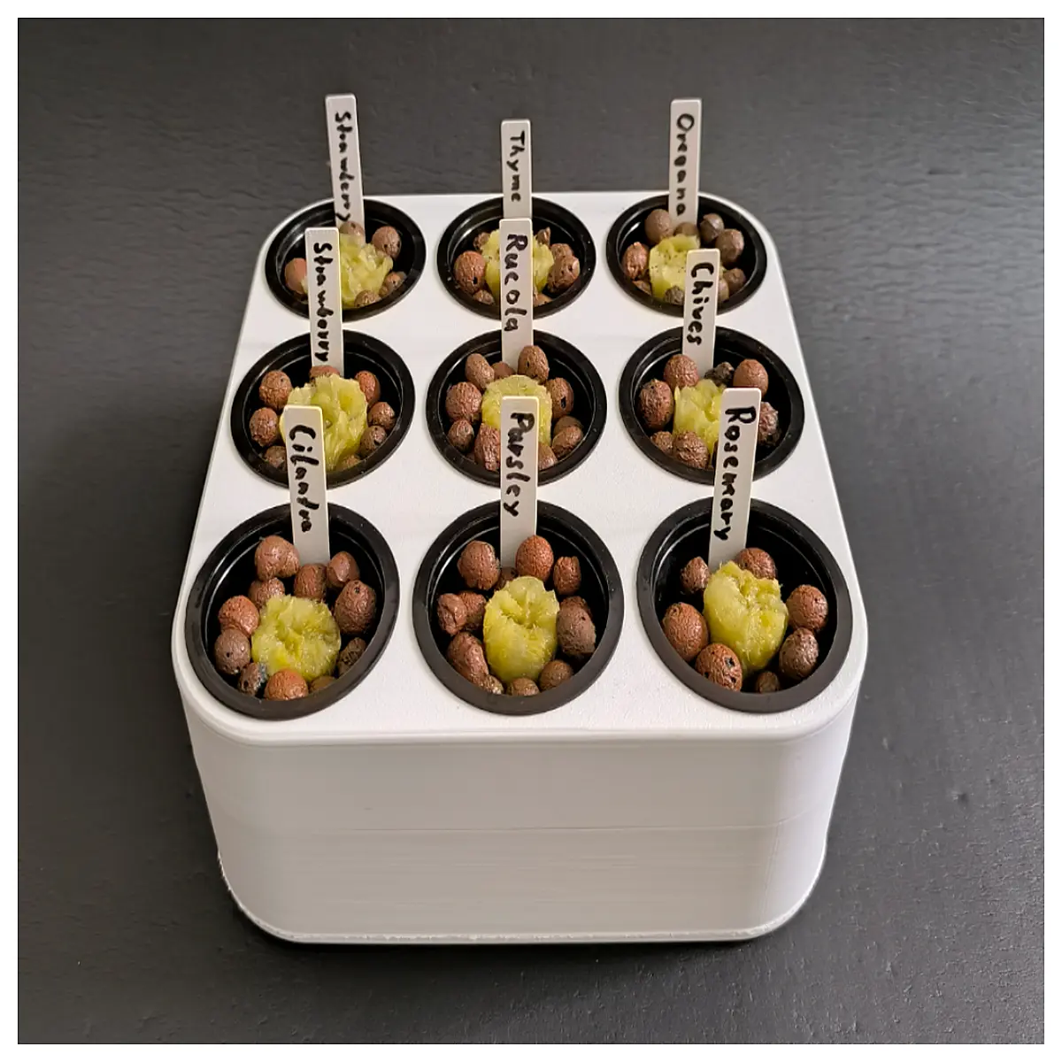 Hydroponic Growing System Indoor Garden DIY Plant Cultivation Vegetable Fruit Nutrient Solution Plant Pot Equipment
