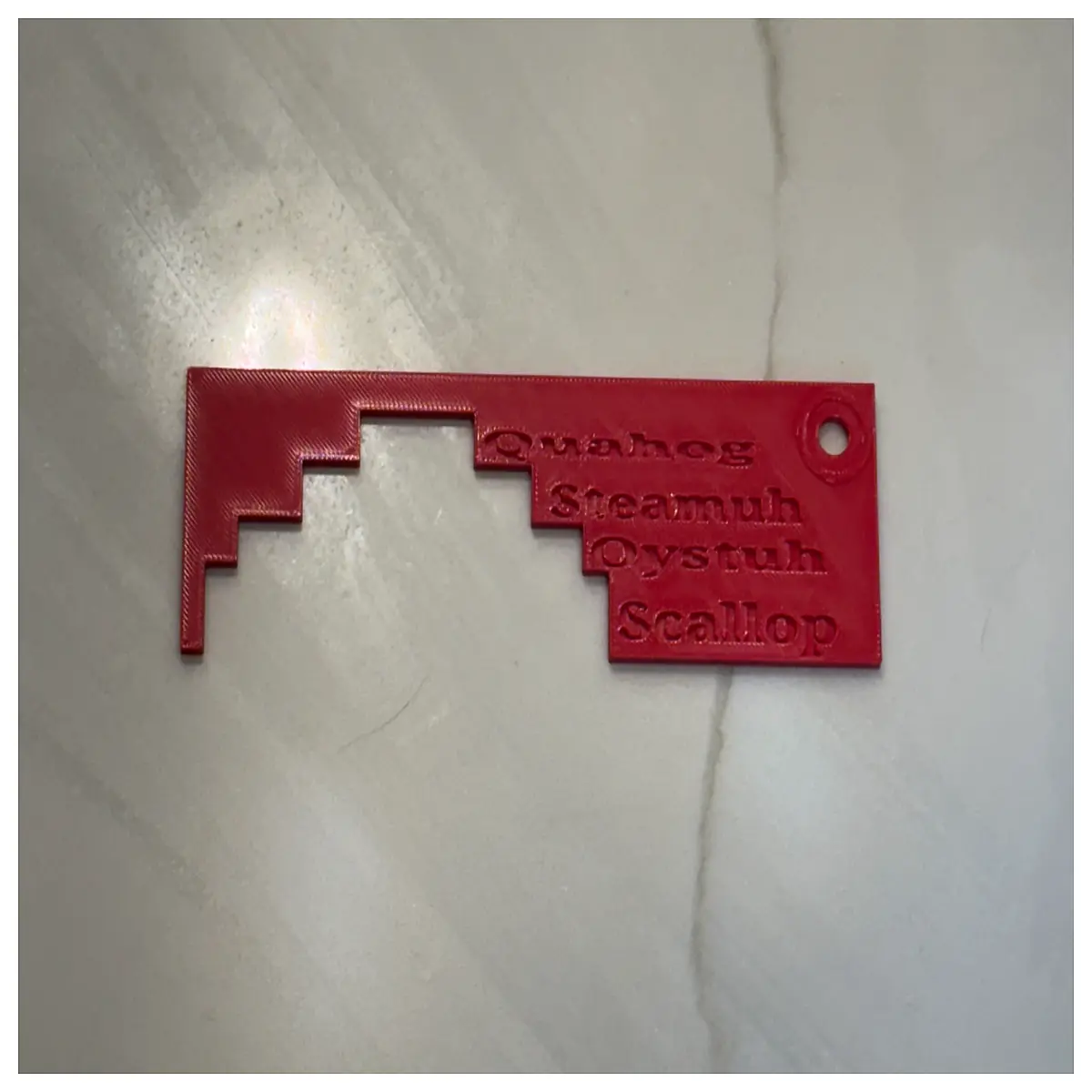 Clam Oyster Measurement Tool New Region Gauge Shell Measurement Specimen Ruler Measurement Tool