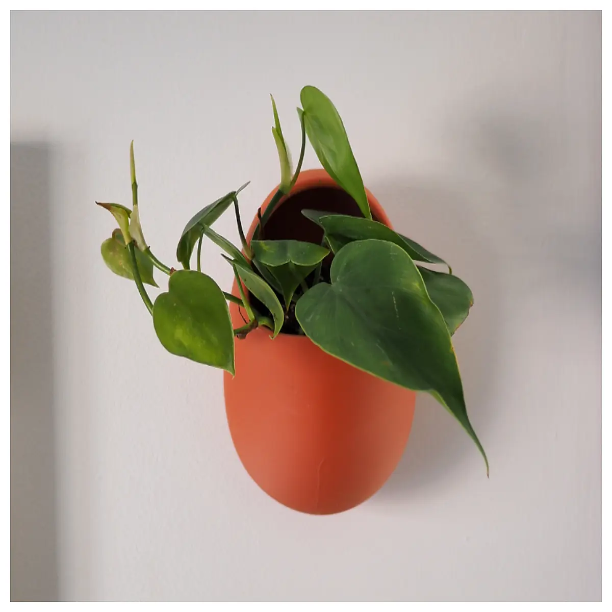 Retro Egg Shaped Hanging Flower Pot Indoor Wall Decoration Creative Planter Support Hanging Basket Holder