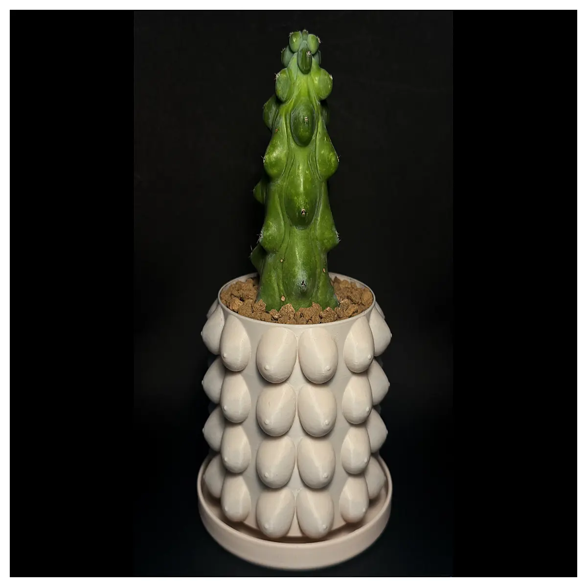 Full Pot Planter Flower Pot Indoor Plant Pot Succulent Pot Creative Pot Decorative Pot Large Pot Houseplant Pot Planter Accessories
