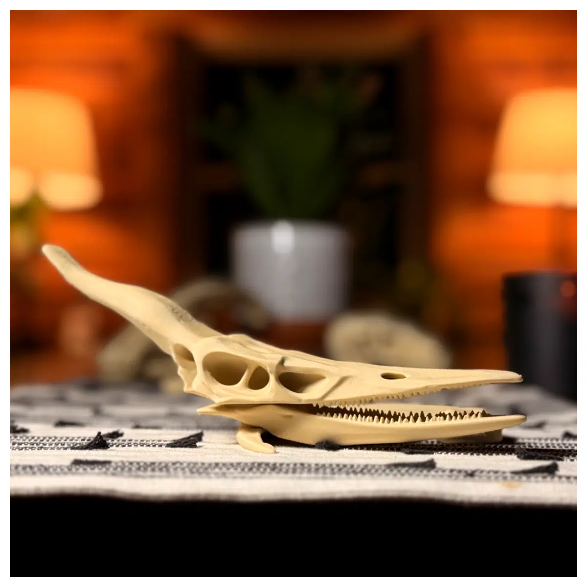 Pterodactyl Skull Dinosaur Bone Paleontology Collection Display Dinosaur Research