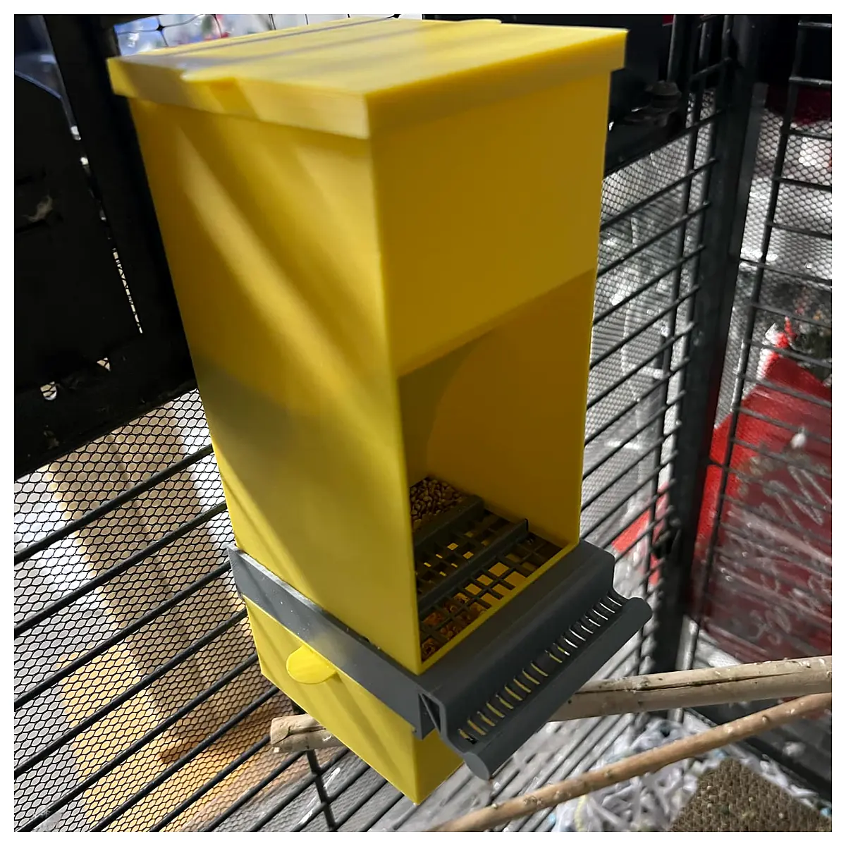 automatic bird feeder for parrots smart pet food dispenser with timer anti peck cage accessory bulk seed hopper system