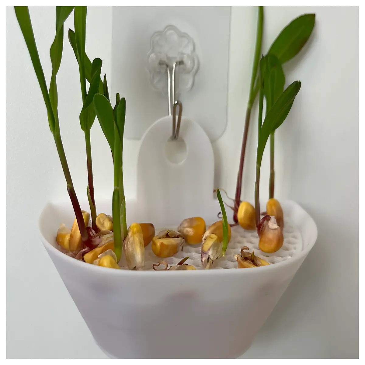 Hanging Plant Basket Indoor Flower Pot Hanging Flower Rack Potted Plant Decoration Wall Mounted Green Plant Shelf Creative Flower Stand
