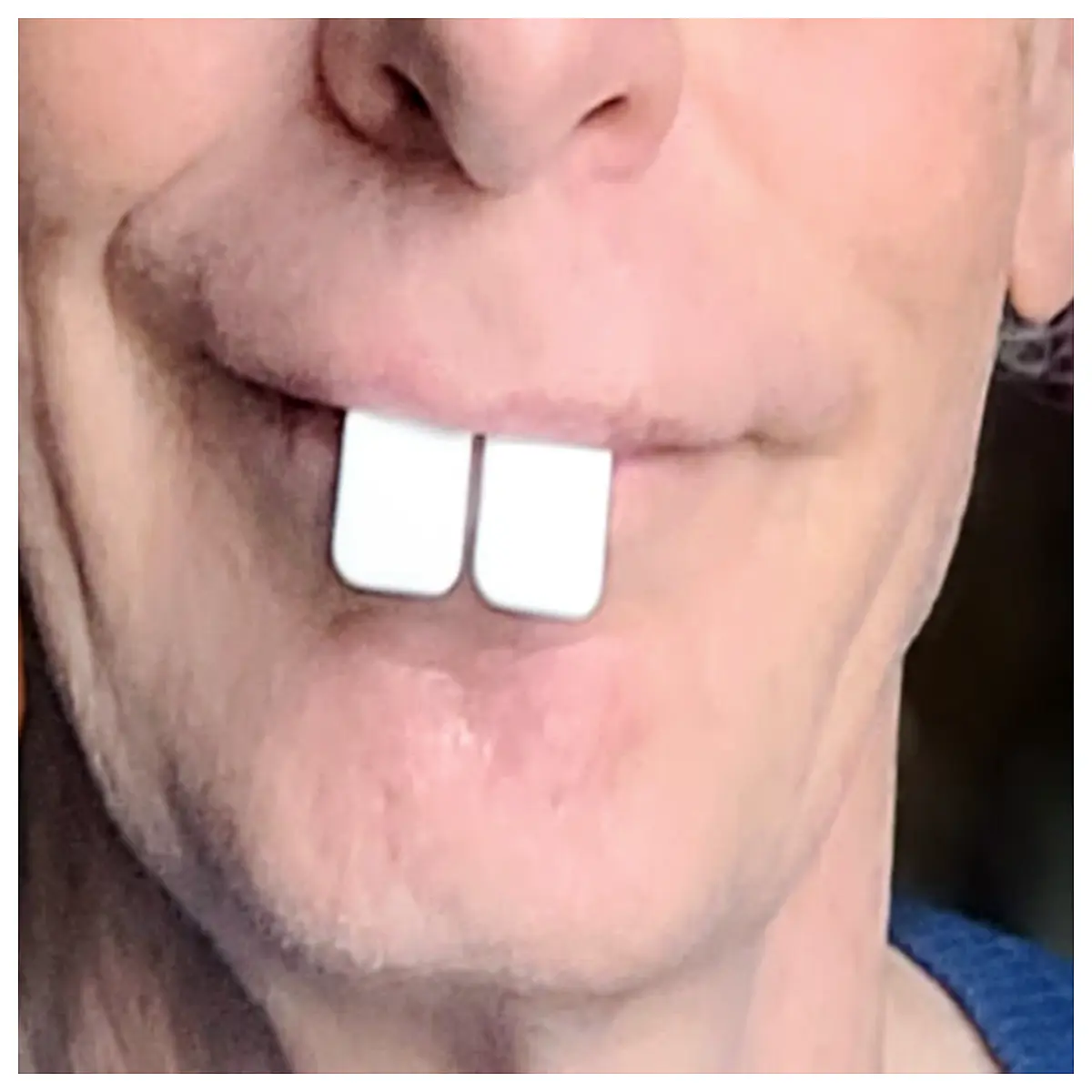 Realistic Rabbit Teeth Model Pet Dental Chew Toy Puppy Kitten Teeth Replacement Training Safe Bite Non