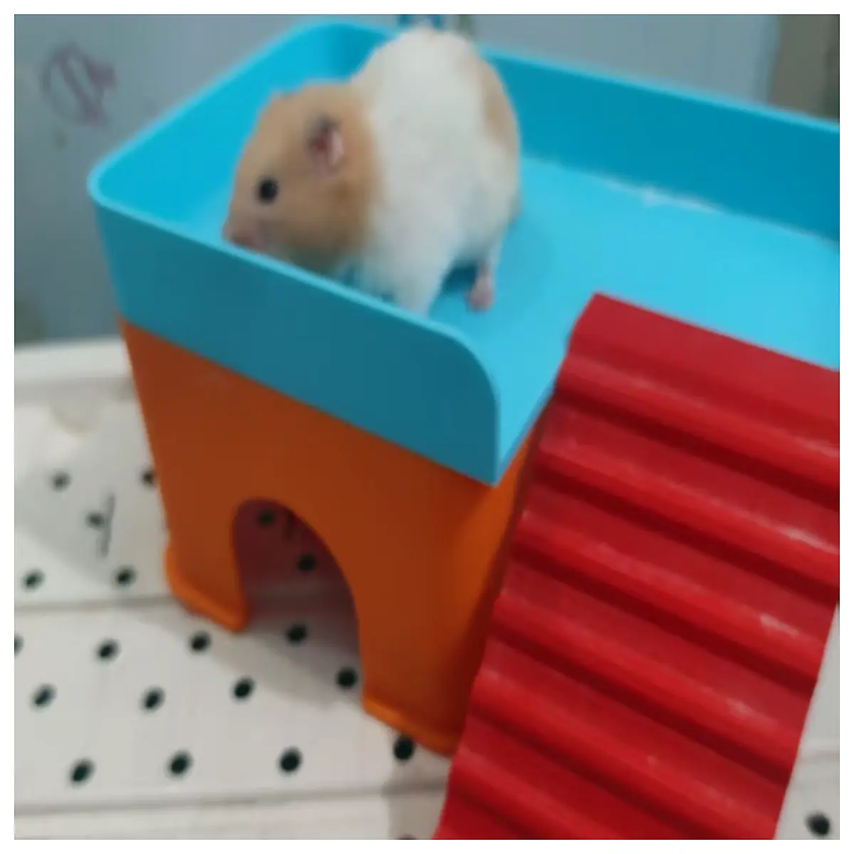 hamster house cage bedding cozy hideout small animal hut warm winter shelter