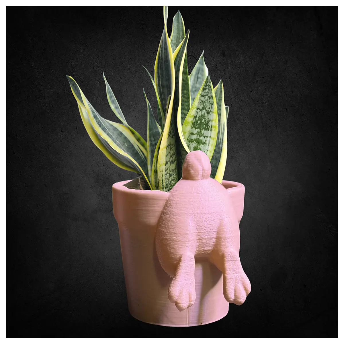 cute rabbit butt planter pot for succulents cactus small desk home garden decor
