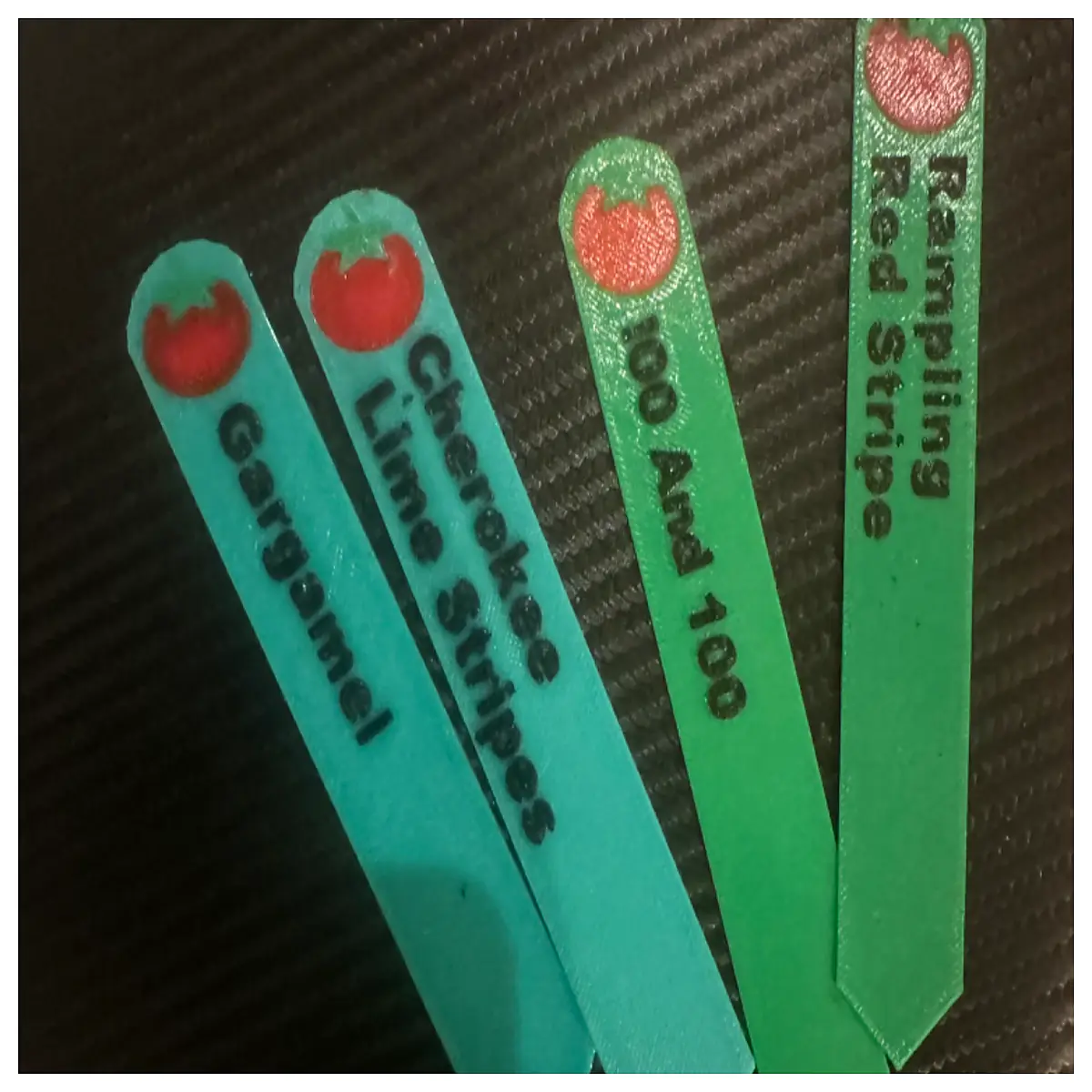 Tomato Plant Markers Garden Labels Vegetable Planting Markers Farm Plant Signage Greenhouse Labels Vegetable Patch Markers