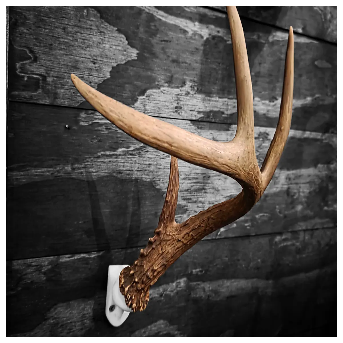 Deer Horn Wall Mount Bracket Wall Decor Animal Decor Home Accent Corner Decoration Artistic Display Wall Corner Decor