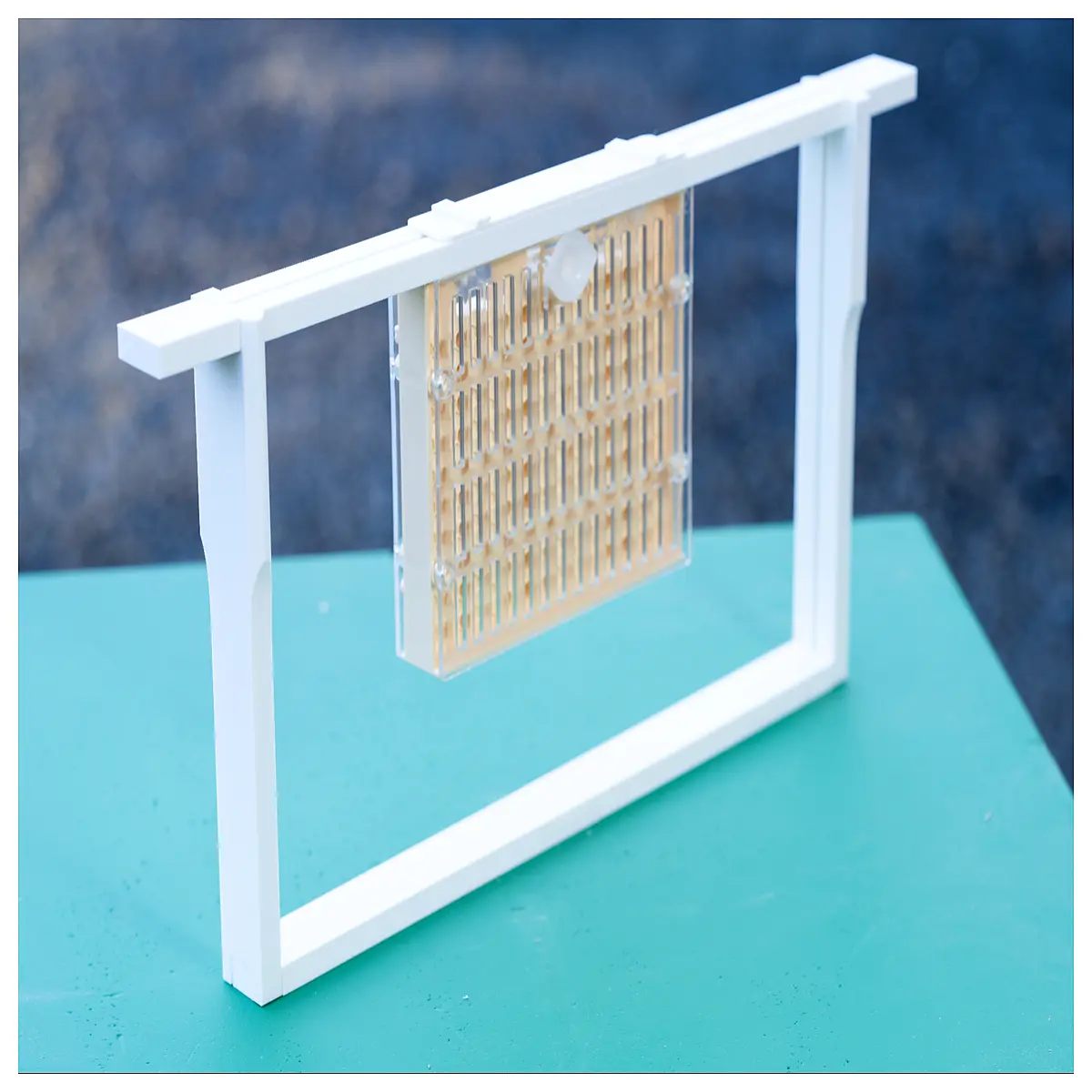 Bee Breeding Frame Cup Larva Holder Bee Keeping Equipment Beehive Accessories Honeycomb Cultivation Bee Breeding Tools