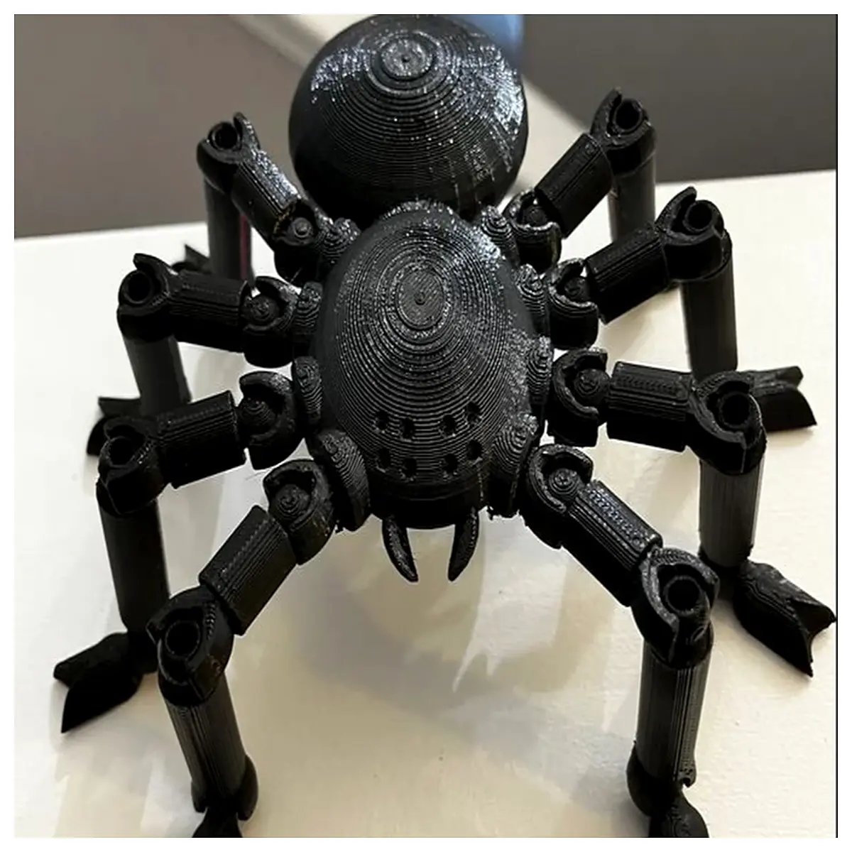 Moving Limb Spider Model Toy Realistic Insect Figurine Children s Educational Toy Brain Teaser Simulated Spider Decoration Biology Learning