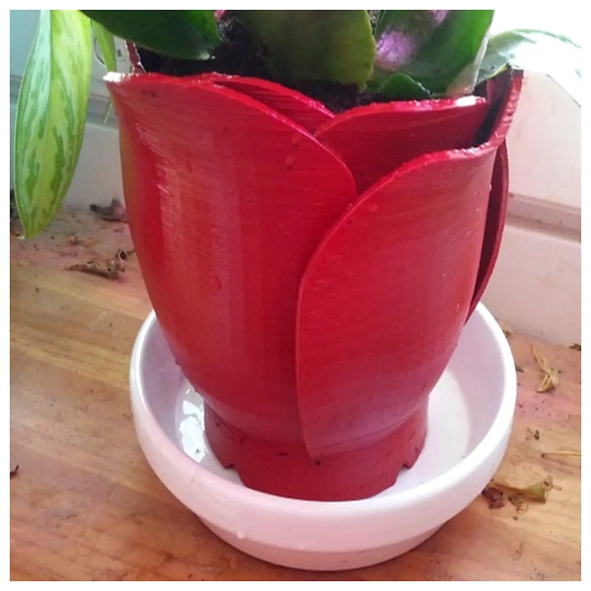 rose shaped planter pot for succulents cactus indoor garden decor