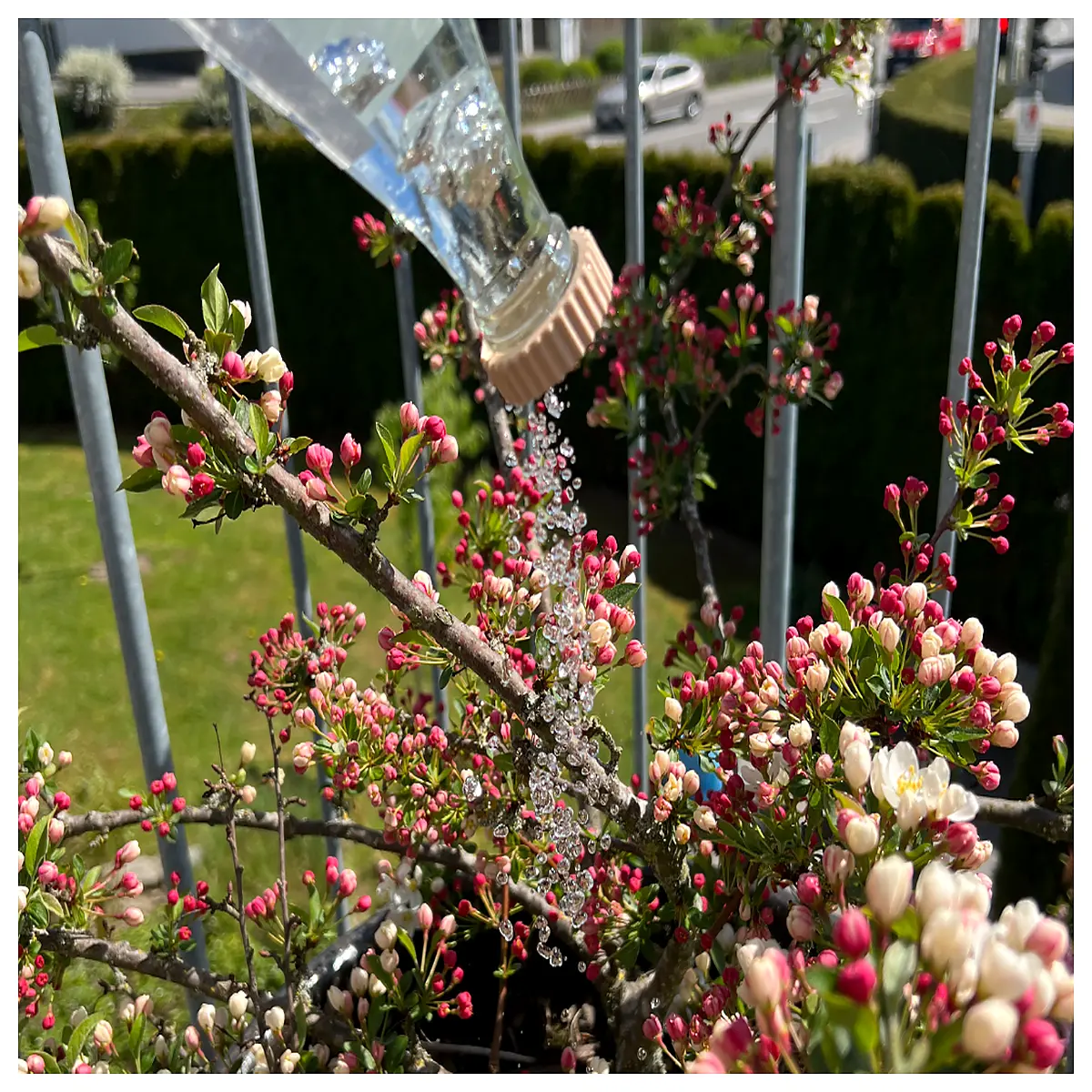 plant cap universal bottle watering lid drip irrigation system home garden auto waterer