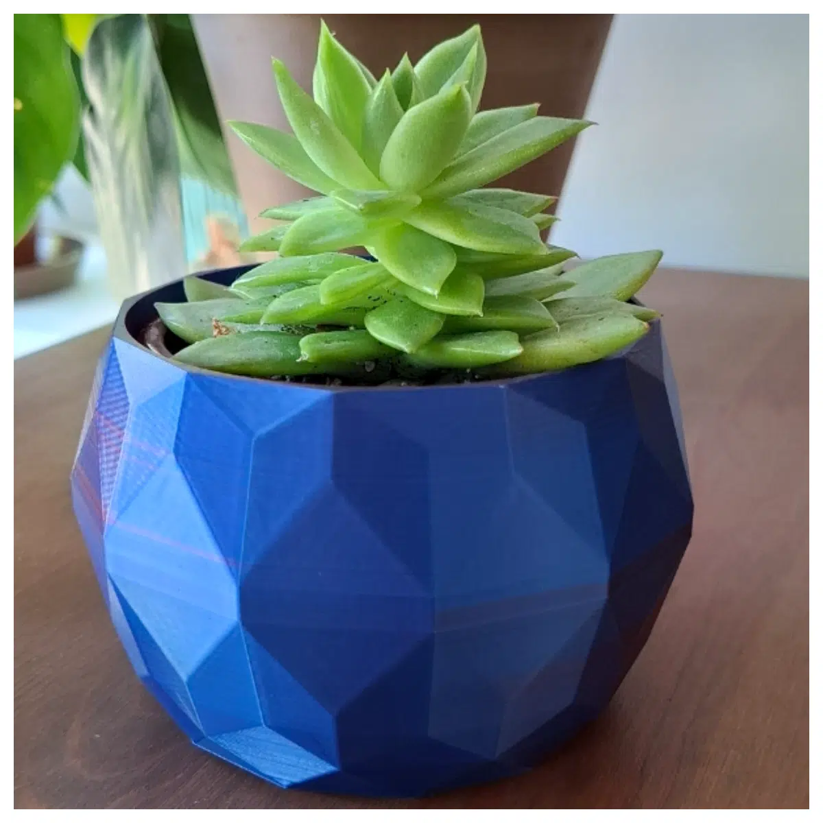 Low Poly Planter Modern Home Decor Indoor Outdoor Flower Pot Succulent Planter Creative Garden Planters House Plants