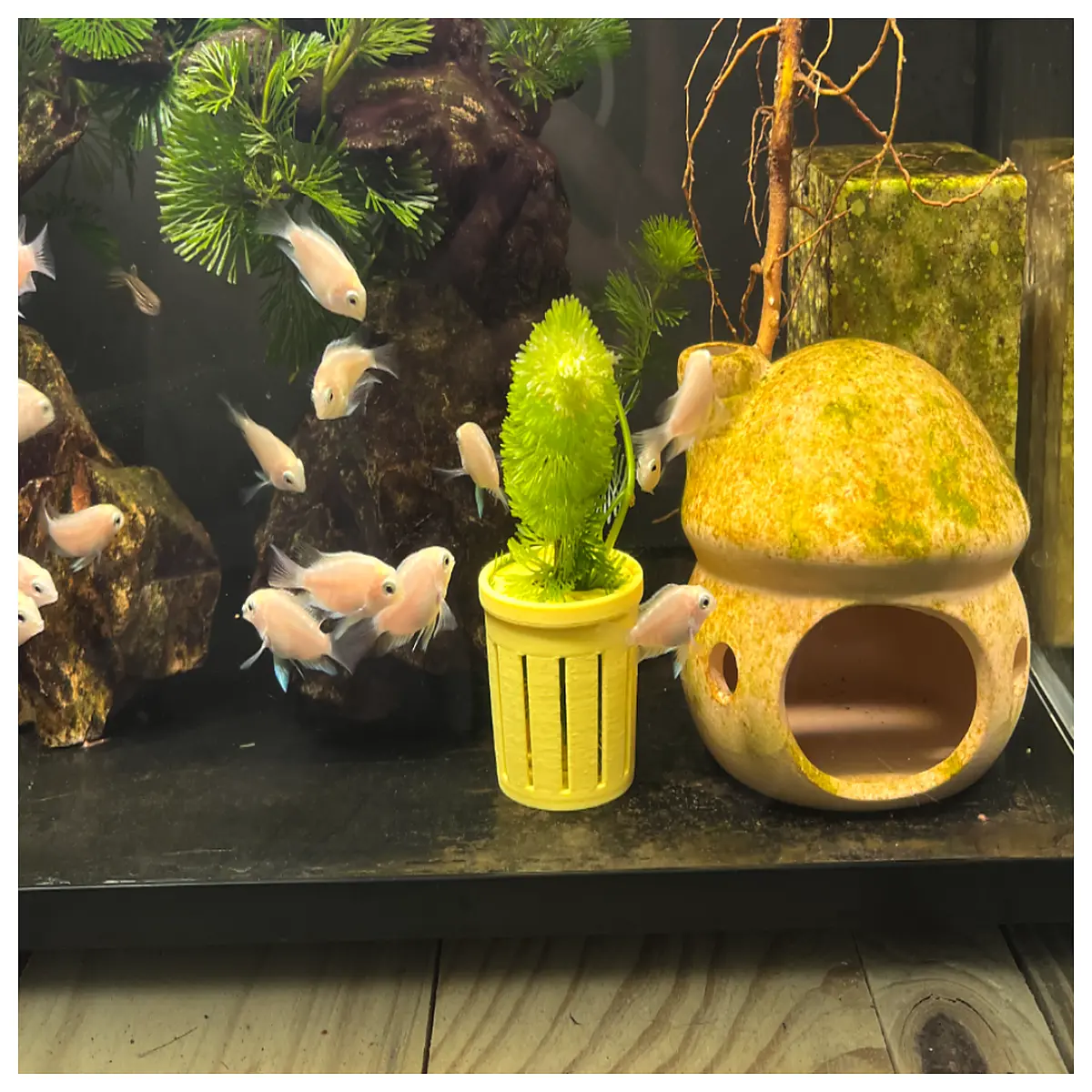 Aquarium Plant Holder Submersible Bracket Plant Support Fish Tank Decoration Accessories Hidden Plant Stand Aquarium Plant Fixing Tool