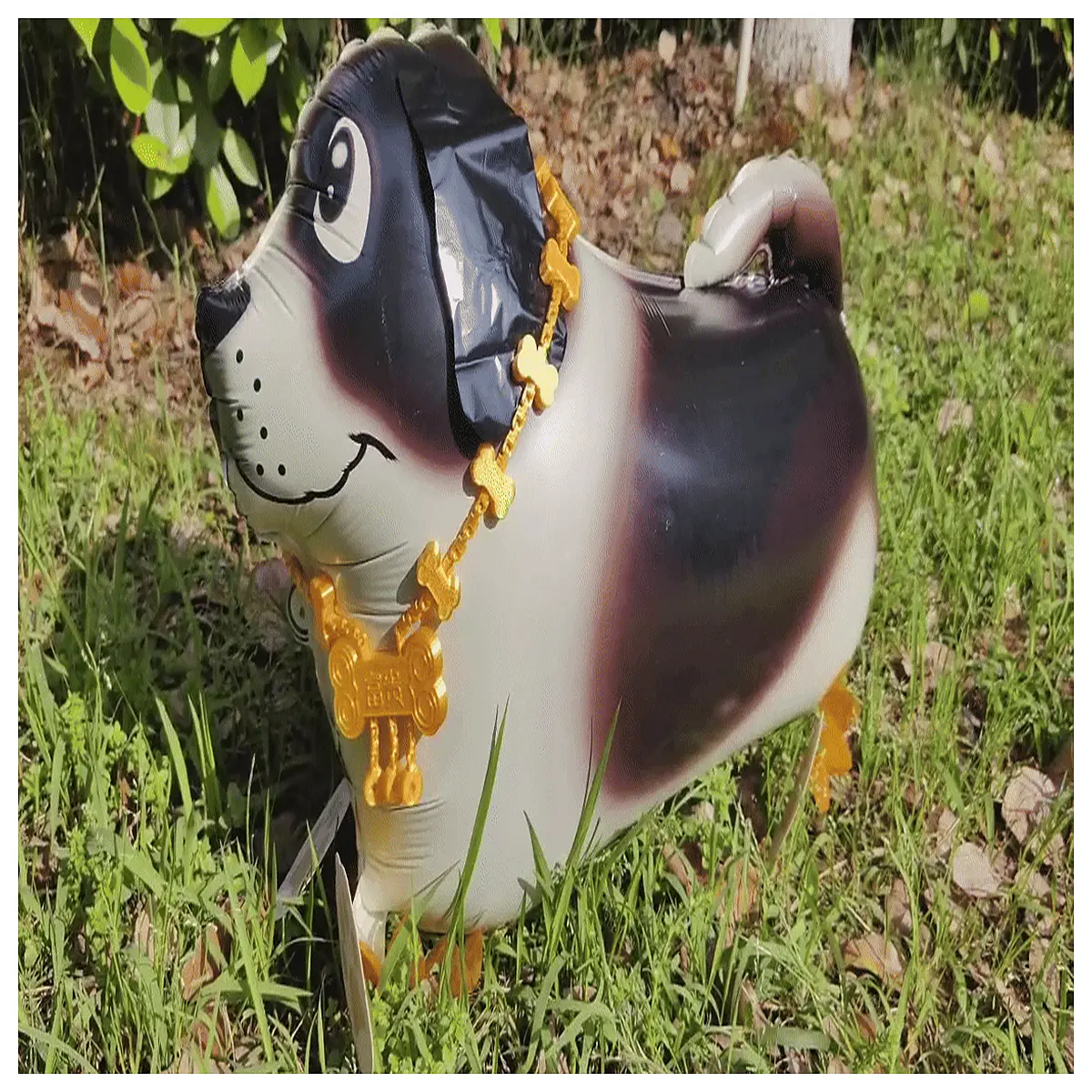 Dog Amulet Necklace Bring Good Luck by Dong Yin Pet Lucky Charm Collar Dog Accessories Lucky