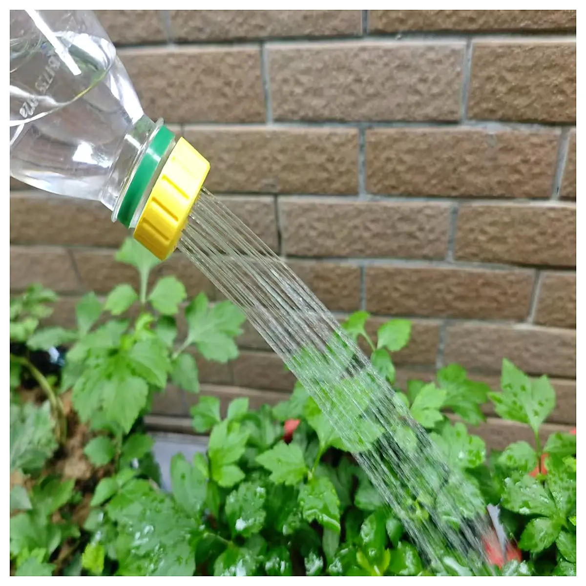 self watering plant bottle cap insert for flower pots automatic drip irrigation system indoor outdoor garden accessories