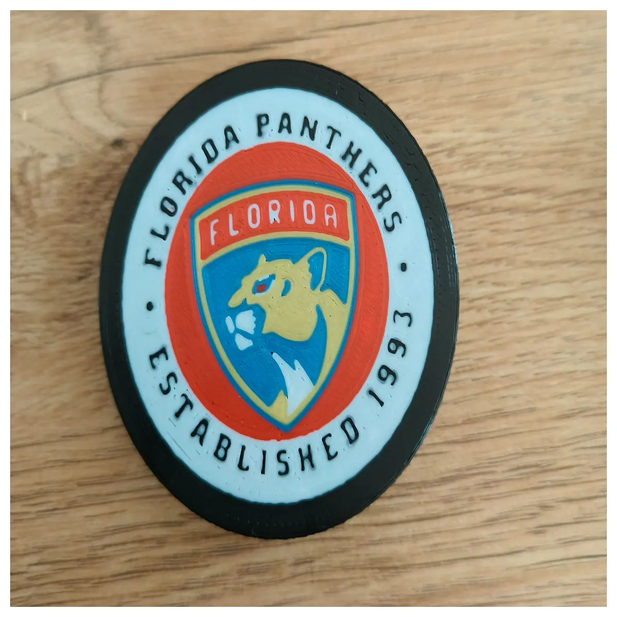 Florida Panthers Hockey Jersey Emblem Collectible Hockey Patch Team Badge Gift Ice Hockey Memorabilia