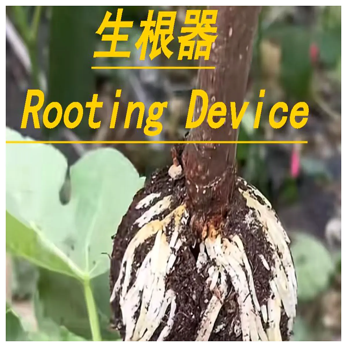 High Pressure Grafting Bag Grafting Tree Grafting Tool Budding Supplies Horticulture Equipment Branch Joining
