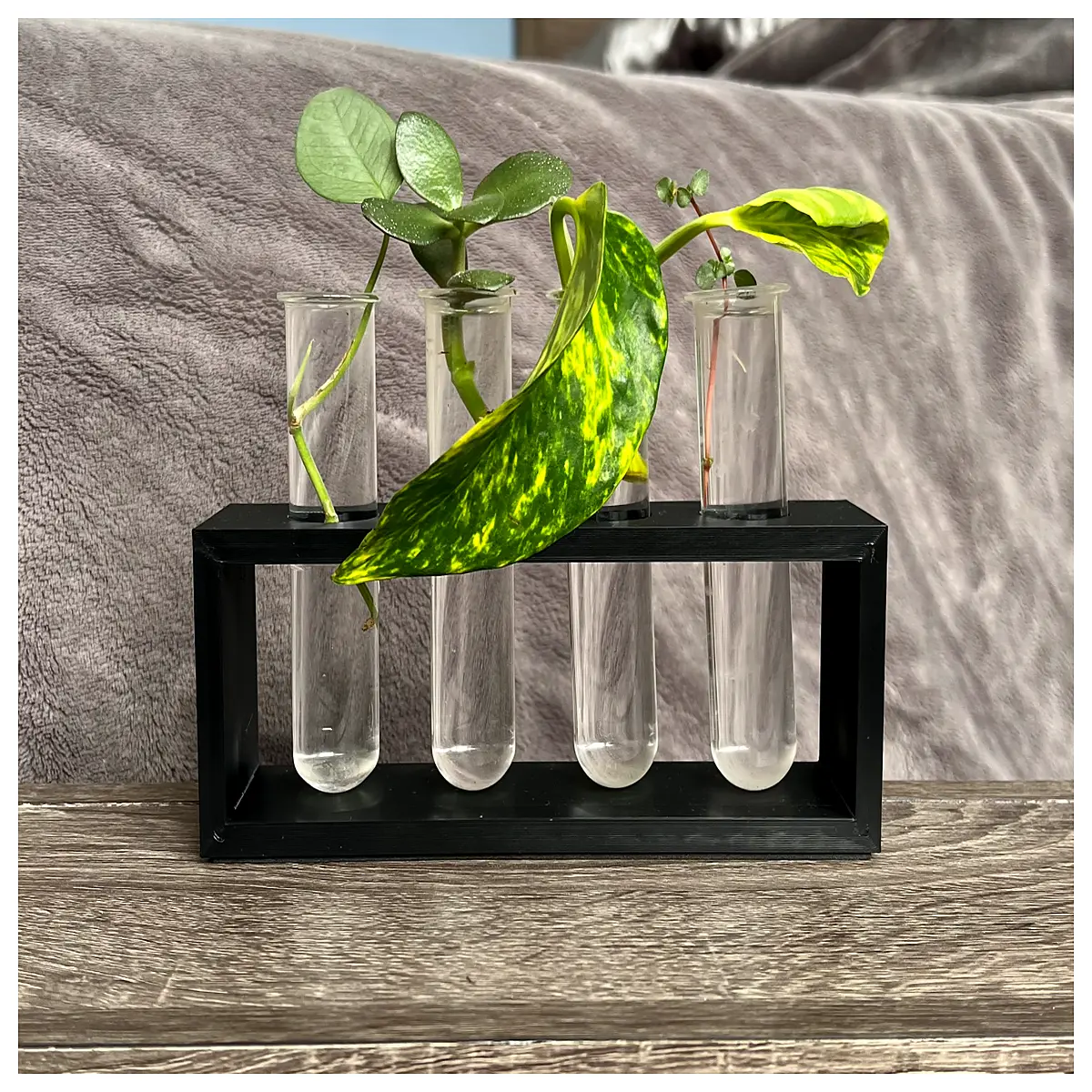 IVF Planting Rack Flower Stand Holder Lab Flower Rack Culture Plate Stand Miniature Flower Stand Desktop Flower Display