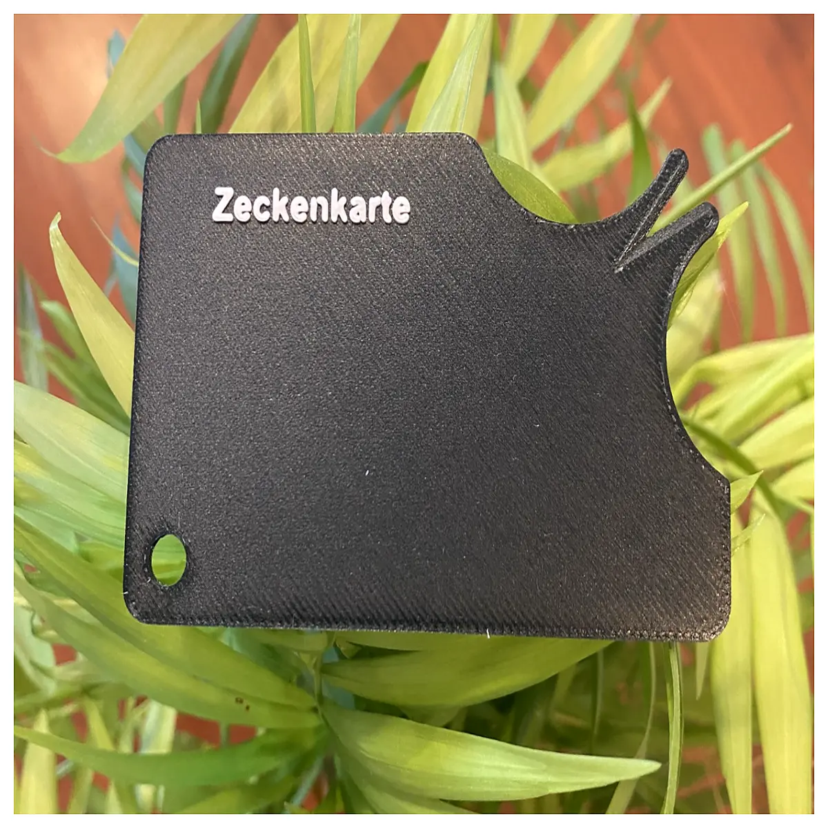 Tick Bite Cards for Outdoor Adventures Bite Protection Convenient Carry Emergency Response Sun Protection