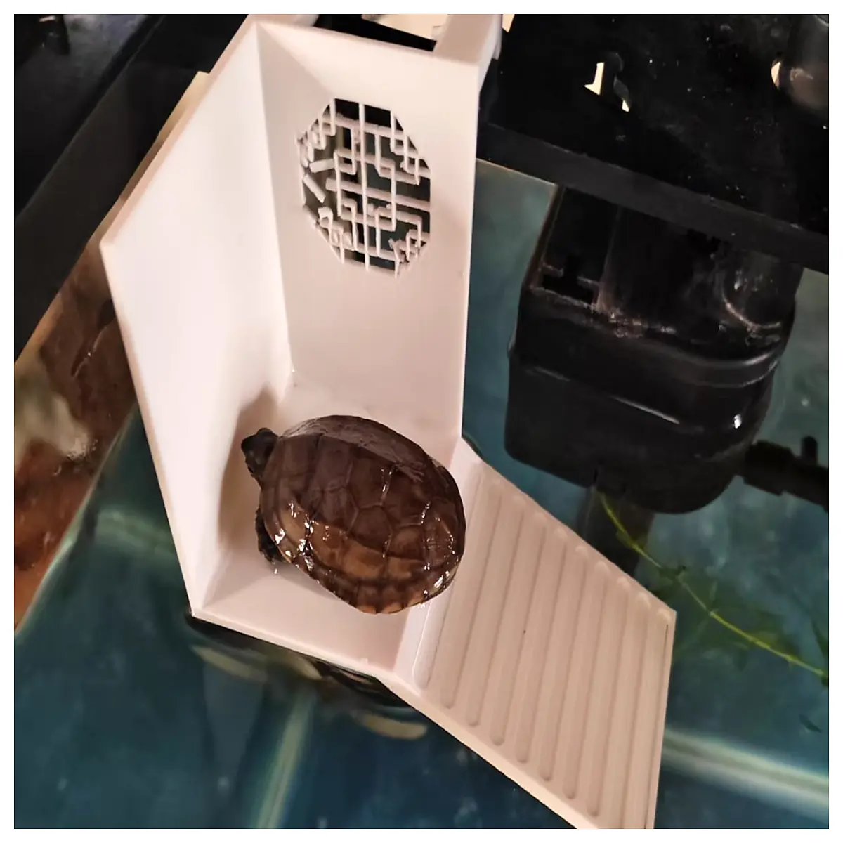 basking platform dock ramp for aquarium reptile sunning shelf with hideout