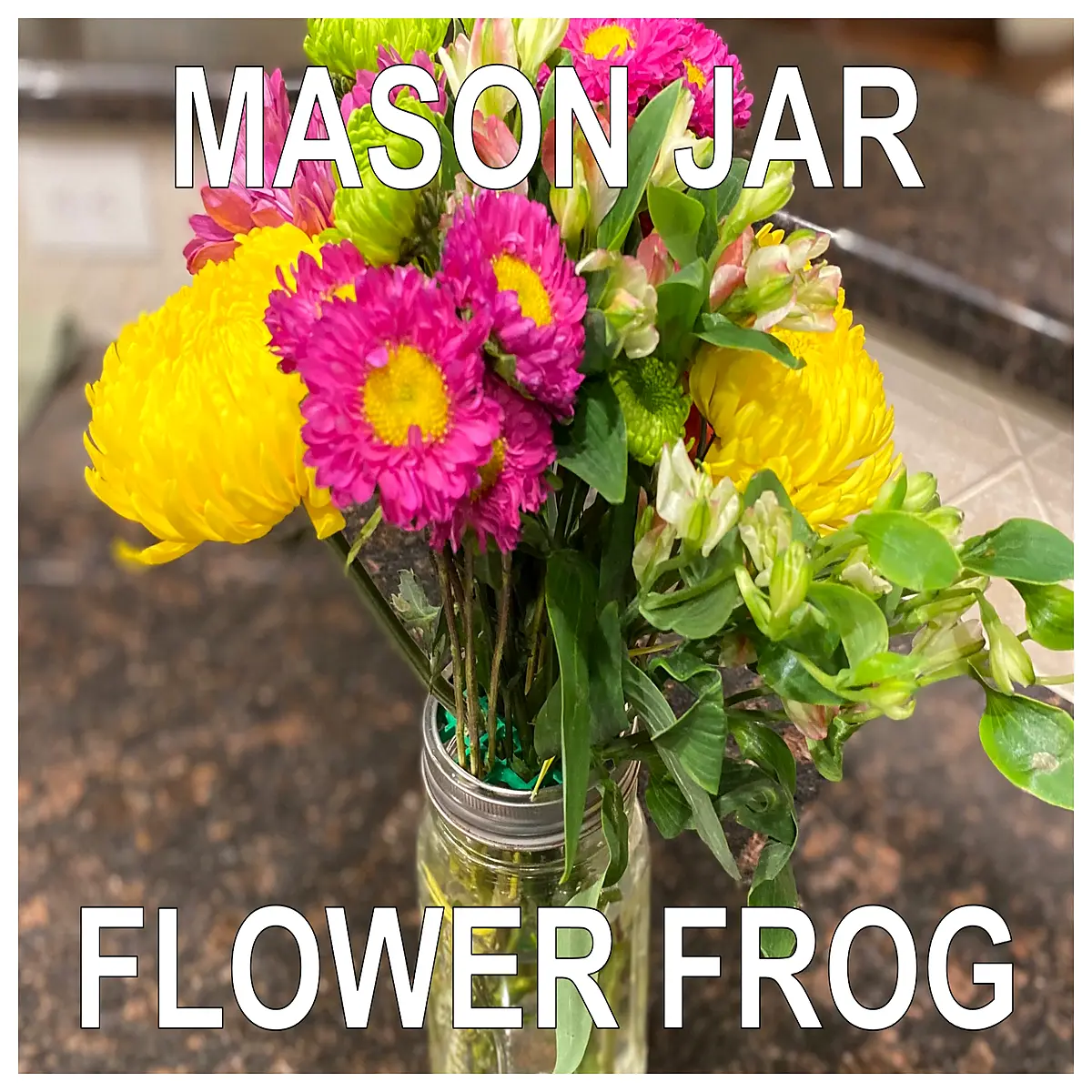 Mason Ball Canning Jar Wide Mouth Regular Mouth Ceramic Planter Pot Planter Decorative Bowl