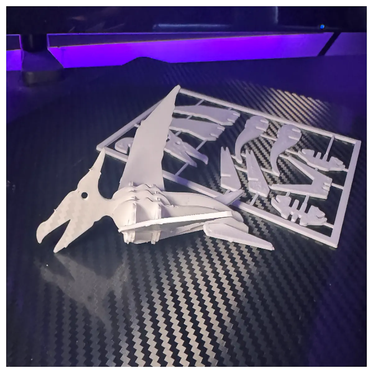 Cardstock Pterodactyl Dinosaur Puzzle Assembly Model Toys Educational Kids DIY Snap Build