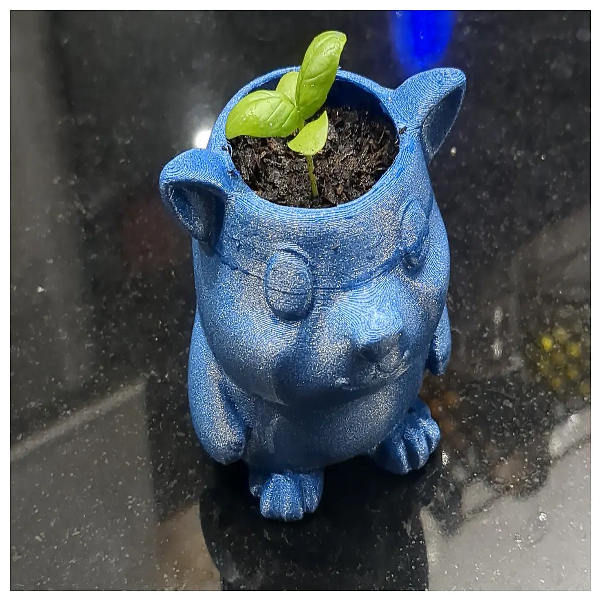 Cute Succulent Plant Pot Statue Miniature Decorative Indoor Garden Ornament Cactus Figurine for Home Decor