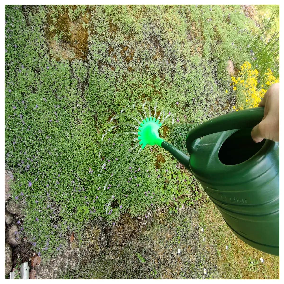 watering can spout attachment long reach pourer for indoor plants garden hose connector