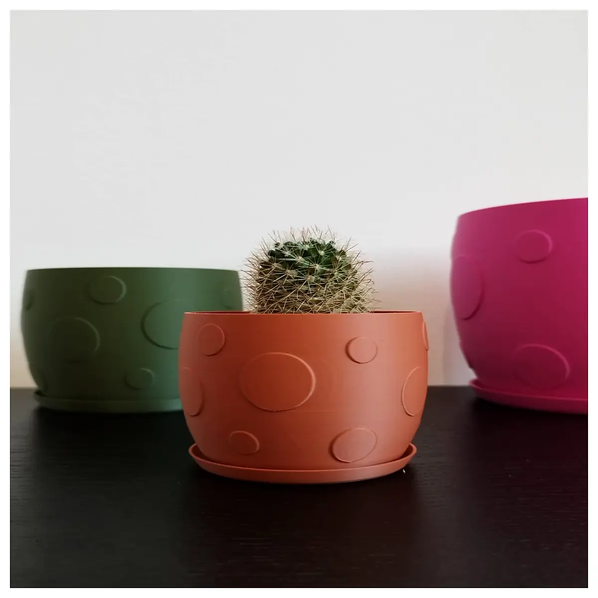 modern dotted ceramic planter with drainage tray stylish succulent pot for home decor