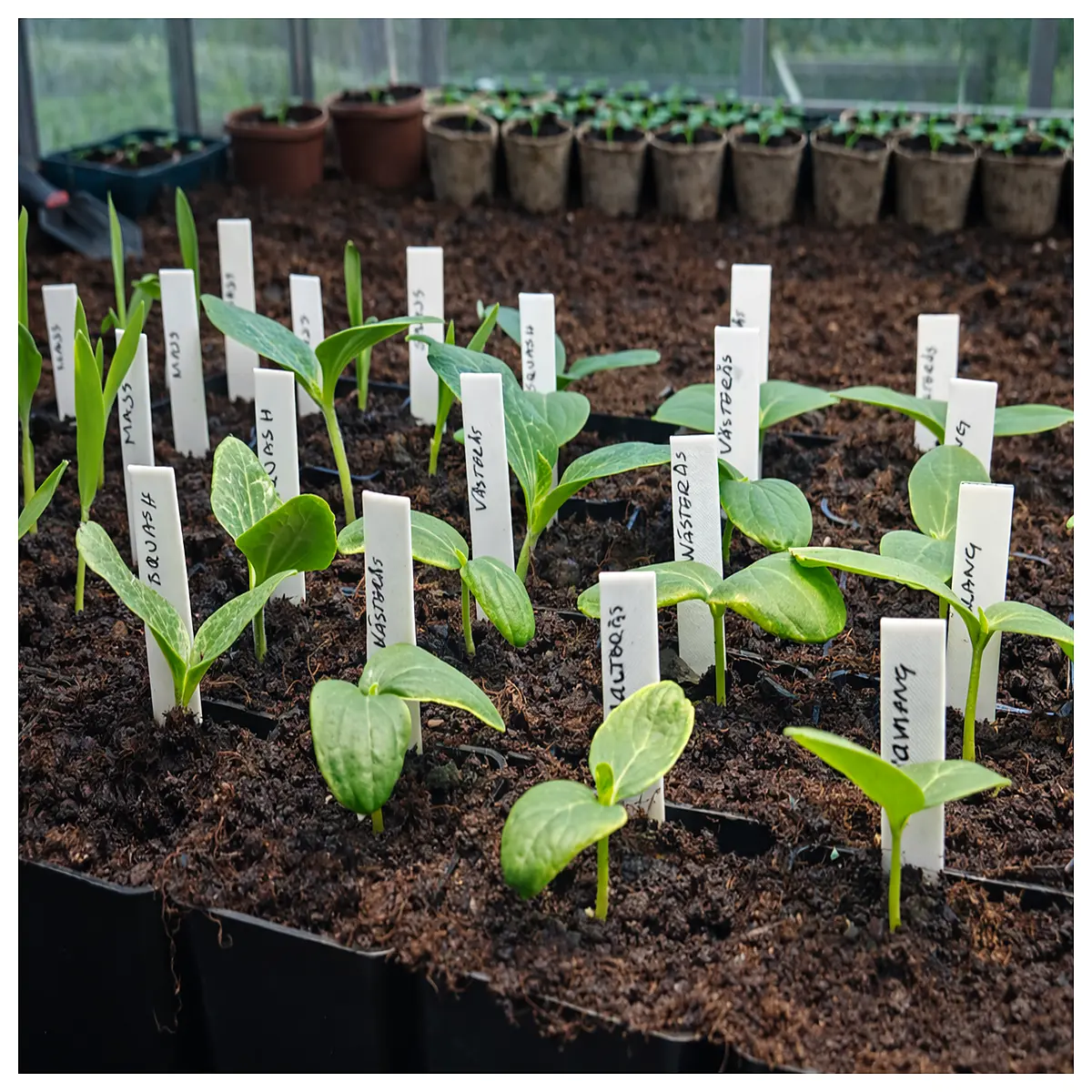 waterproof plant markers for seedlings garden labeling tags with clip biodegradable stakes for nursery pots writing labels for starting seeds