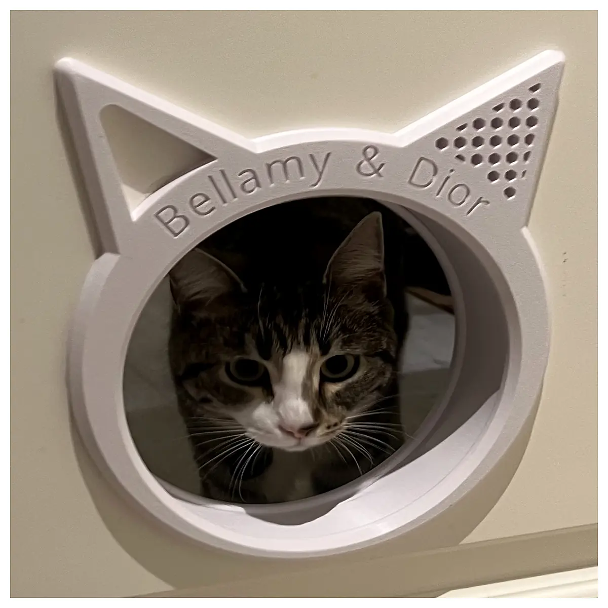 pet door for cats with locking flap indoor outdoor dog small animal puppy training tunnel entry