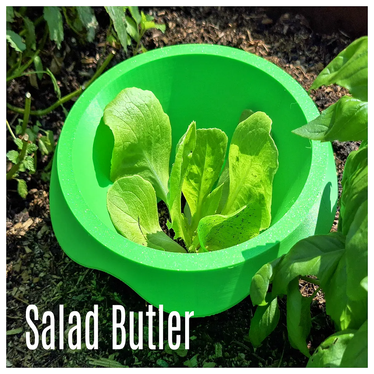 Lettuce Protector Snail Cover Garden Vegetable Snail Barrier Plant Protection Net Snail Trap for Pots Gardens