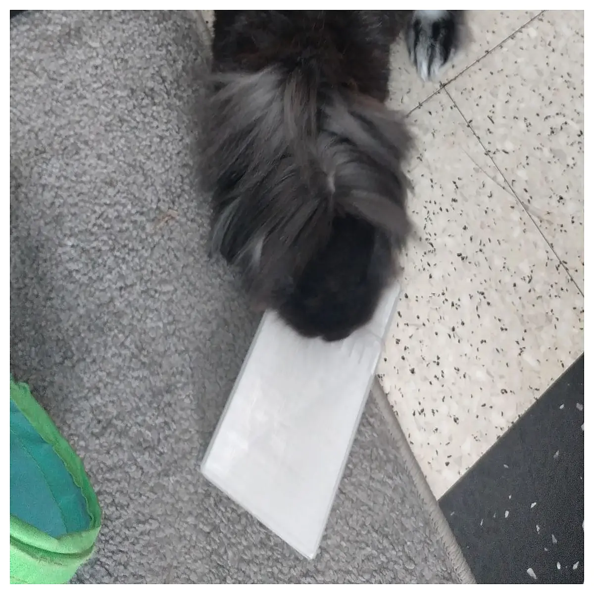 Small Pet Heating Brick Pet Bed Warming Pad Replacement for Heat Packs Cozy Warm Pet Heating Pad