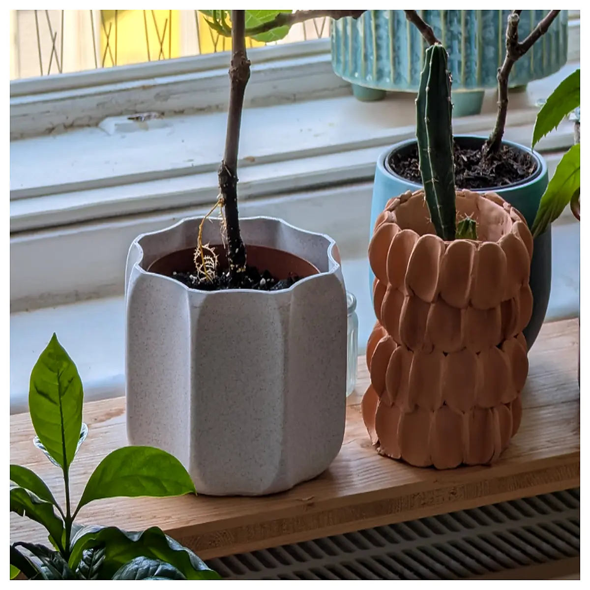 12cm Flower Pot Small Plant Container for Indoor Flowers Greenery for Small Spaces