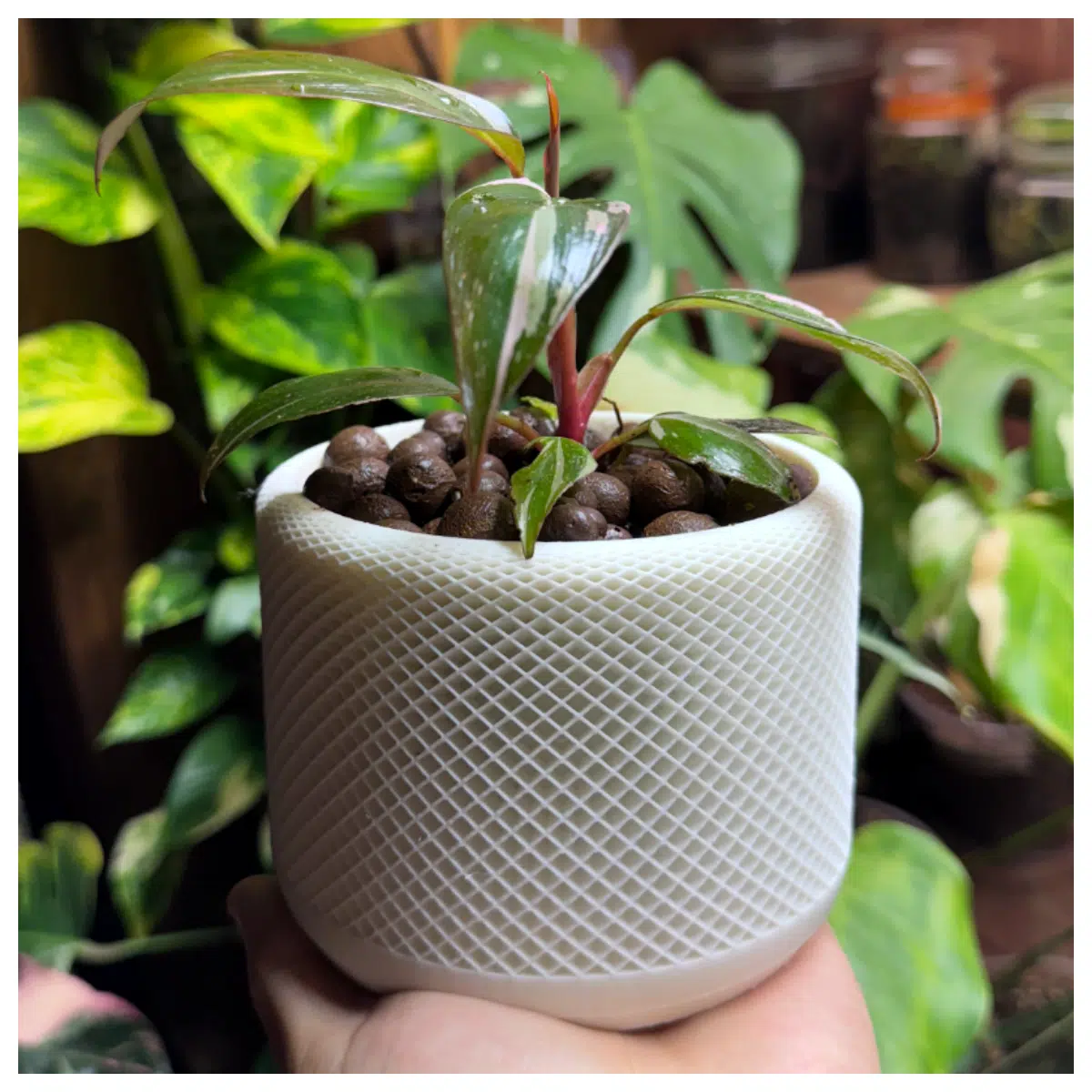 Lattice Luxe Planter Indoor Plants Flower Pot Decorative Planter Pot Container Variety s Creative Home Flower Box